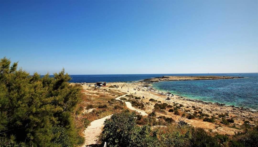 Apartment 110 Sq.m. Stunning Penthouse With Large Terrace